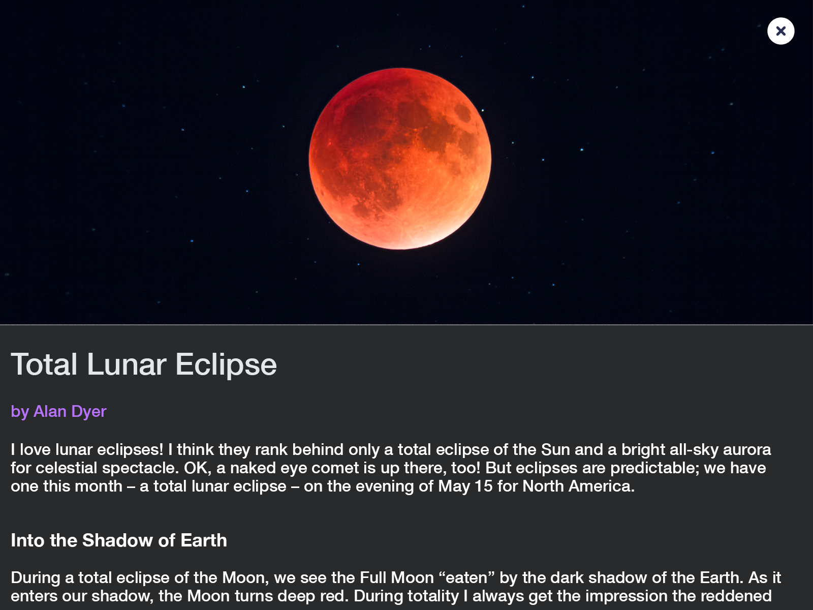 Screenshot sample curated article.